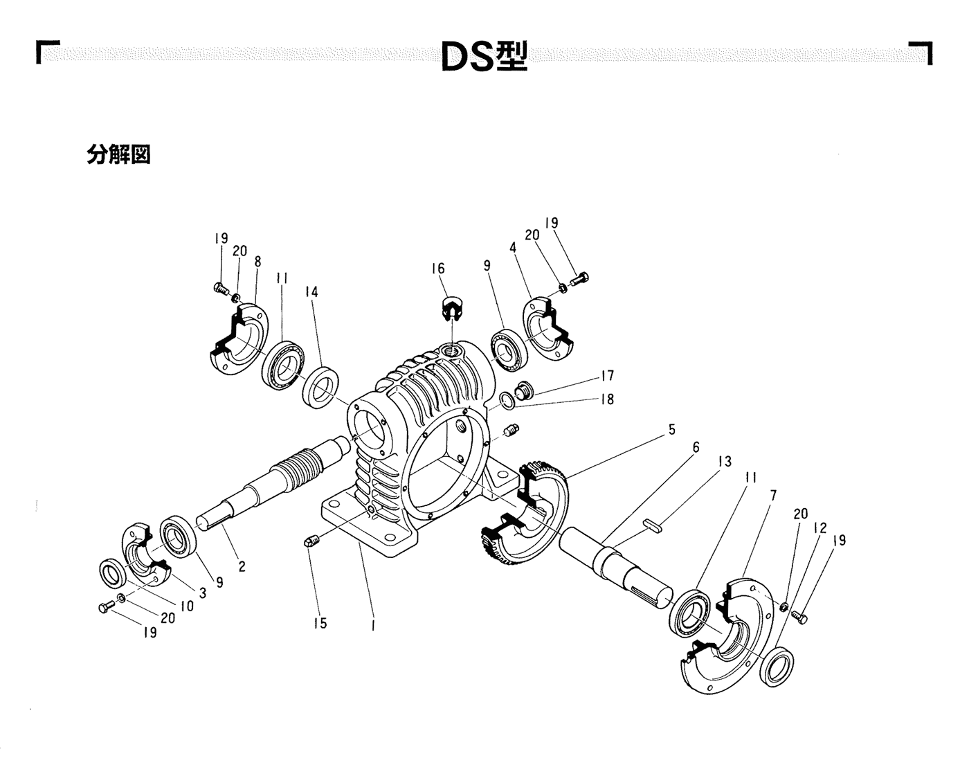 展開図