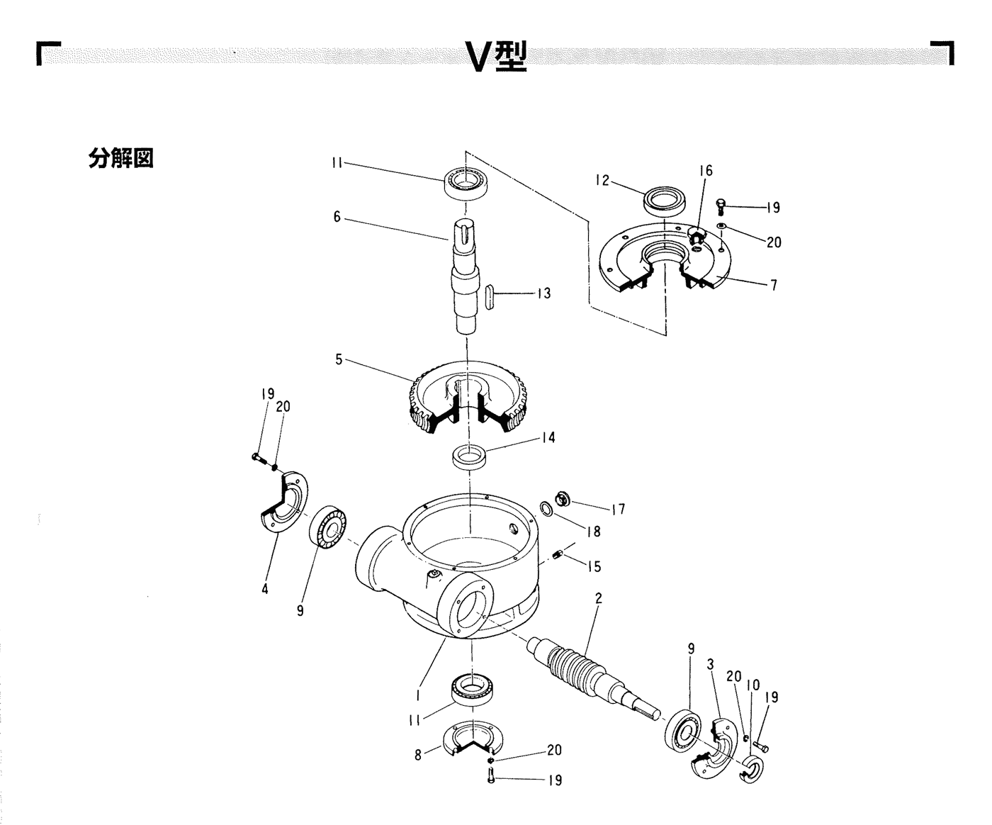 展開図